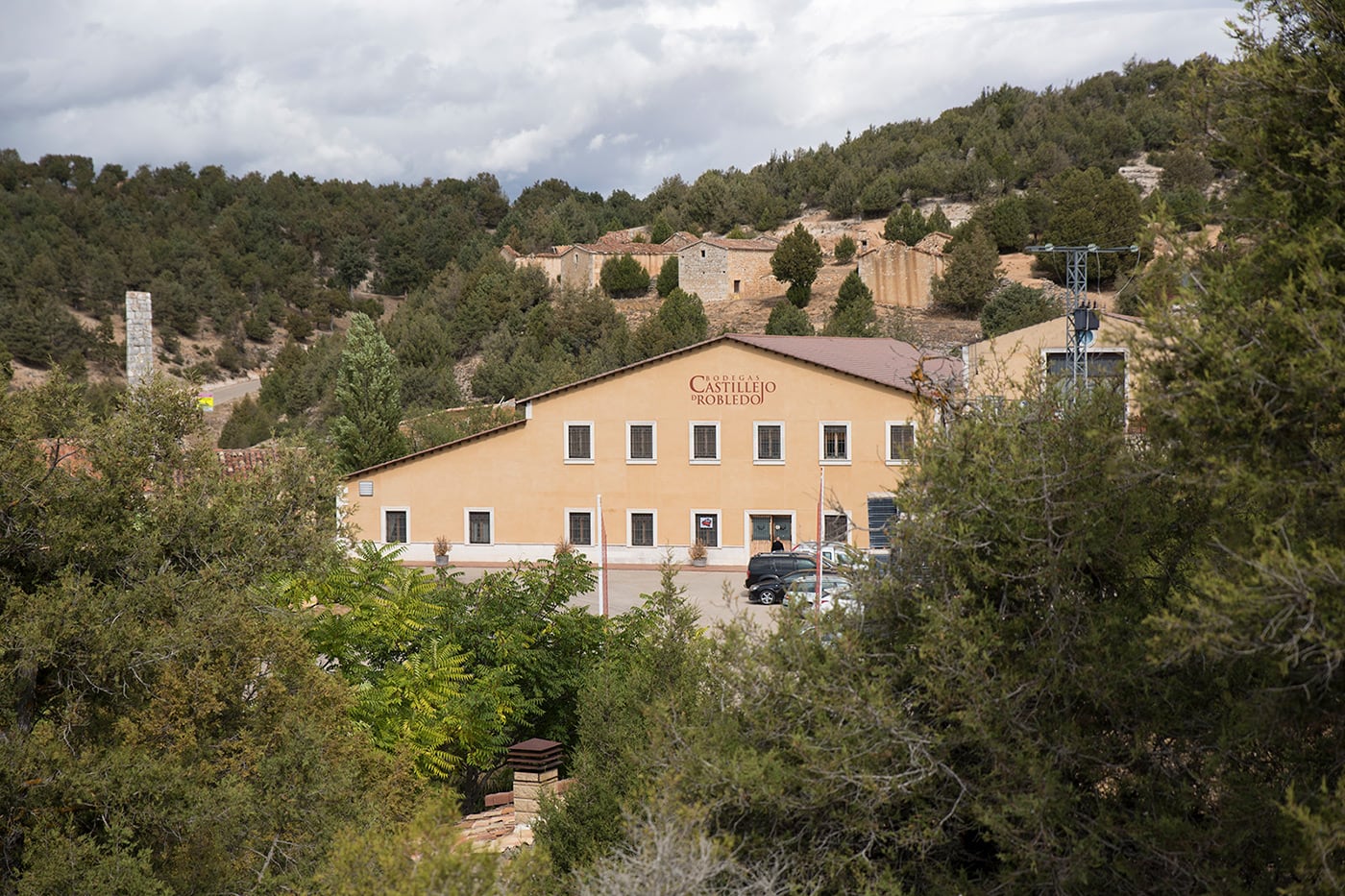 Bodegas Castillejo de Robledo