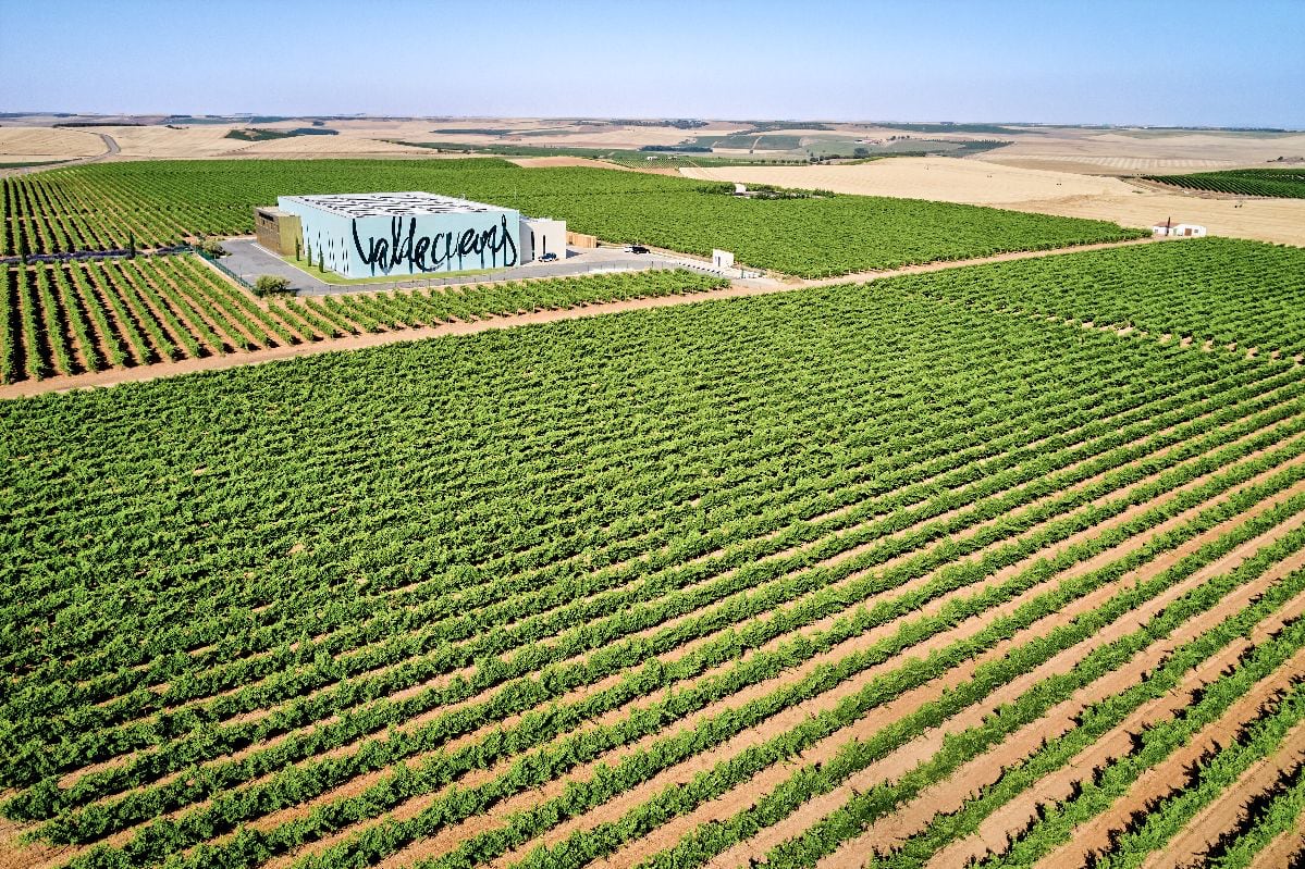 Bodegas Valdevuevas